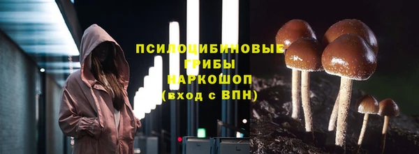apvp Алапаевск