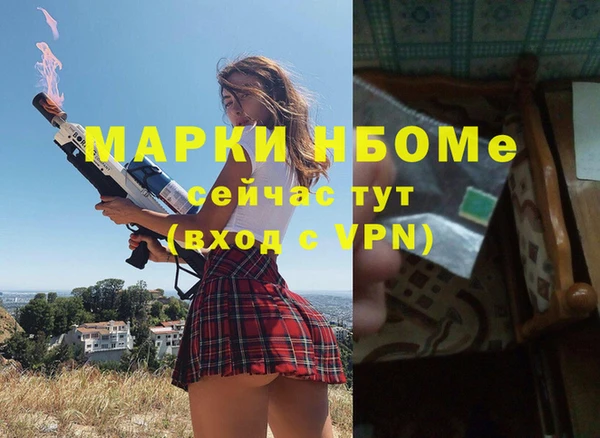 шишки Елабуга