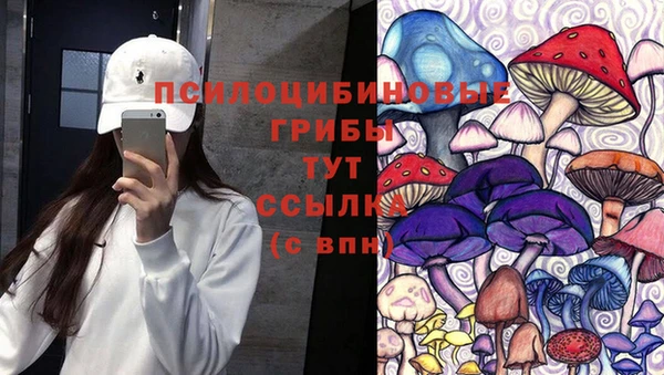 тгк Алагир