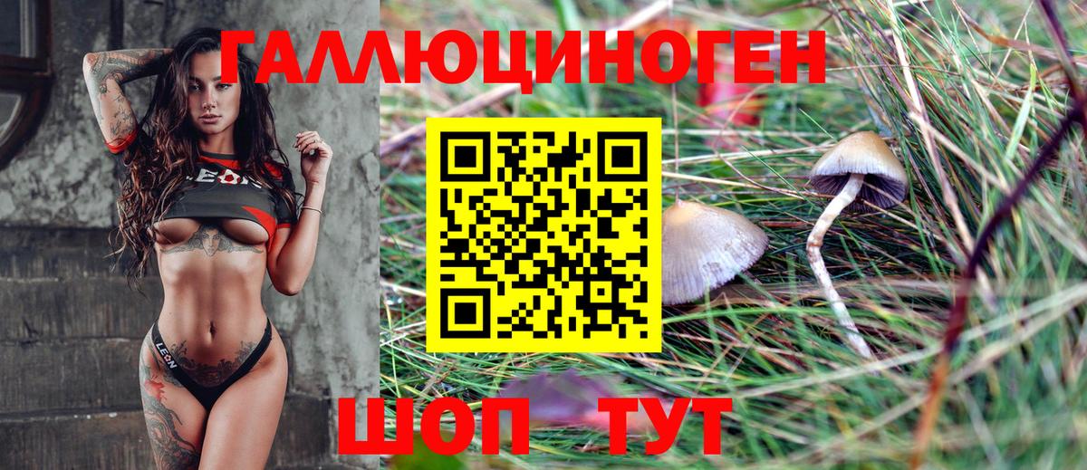 Галлюциногенные грибы Cubensis Ефремов