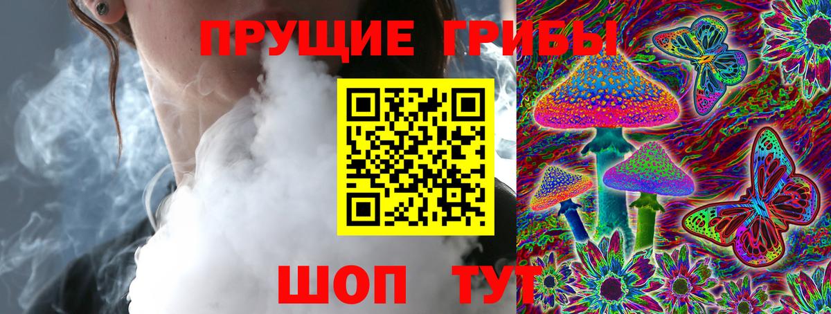 Галлюциногенные грибы Psilocybe  Ефремов 
